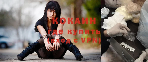 сатива Балахна