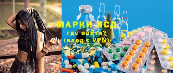 сатива Балахна